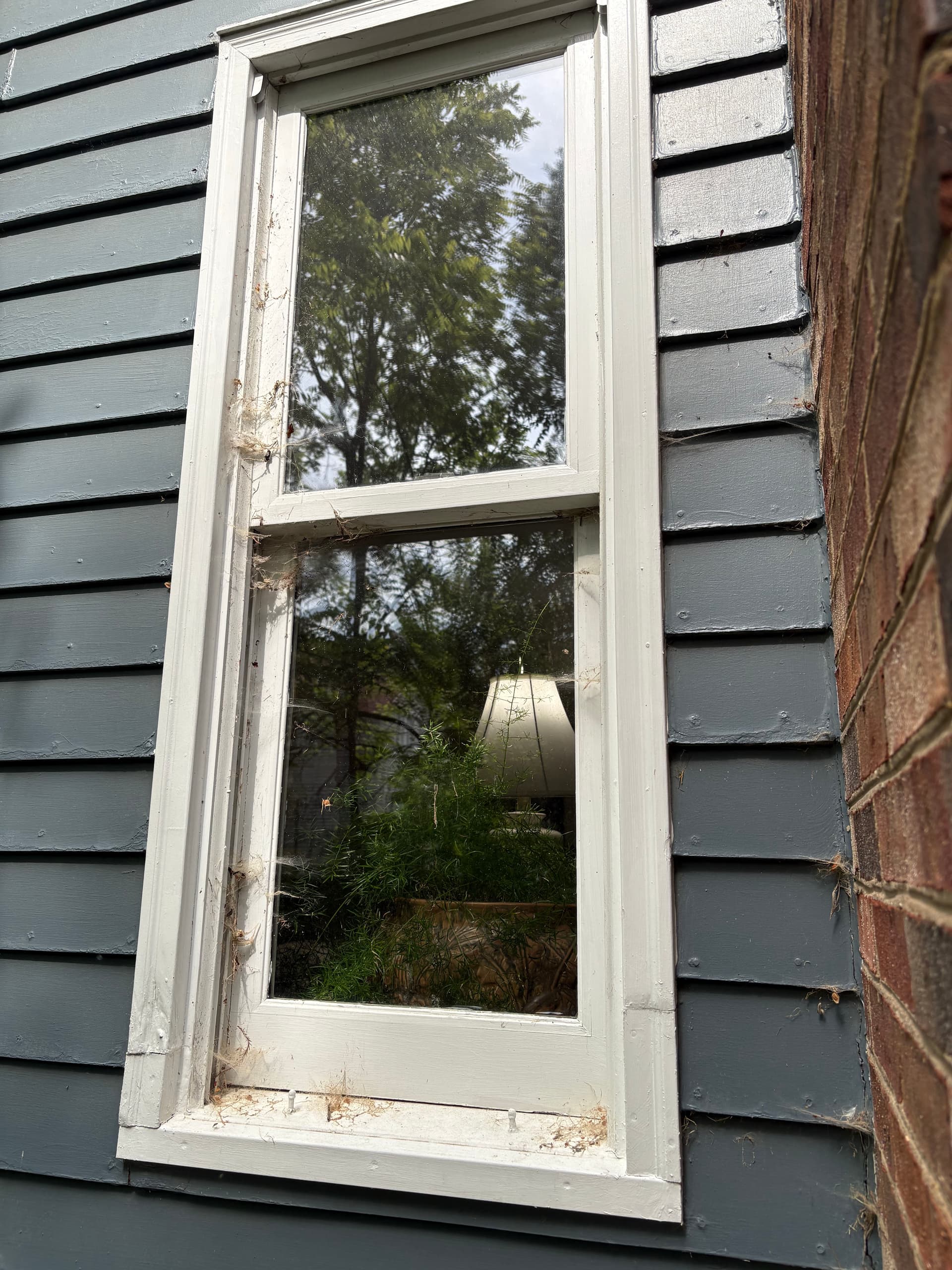 Gallery photos for Full House Window Cleaning Inside and Out in Ashland VA: Image #4