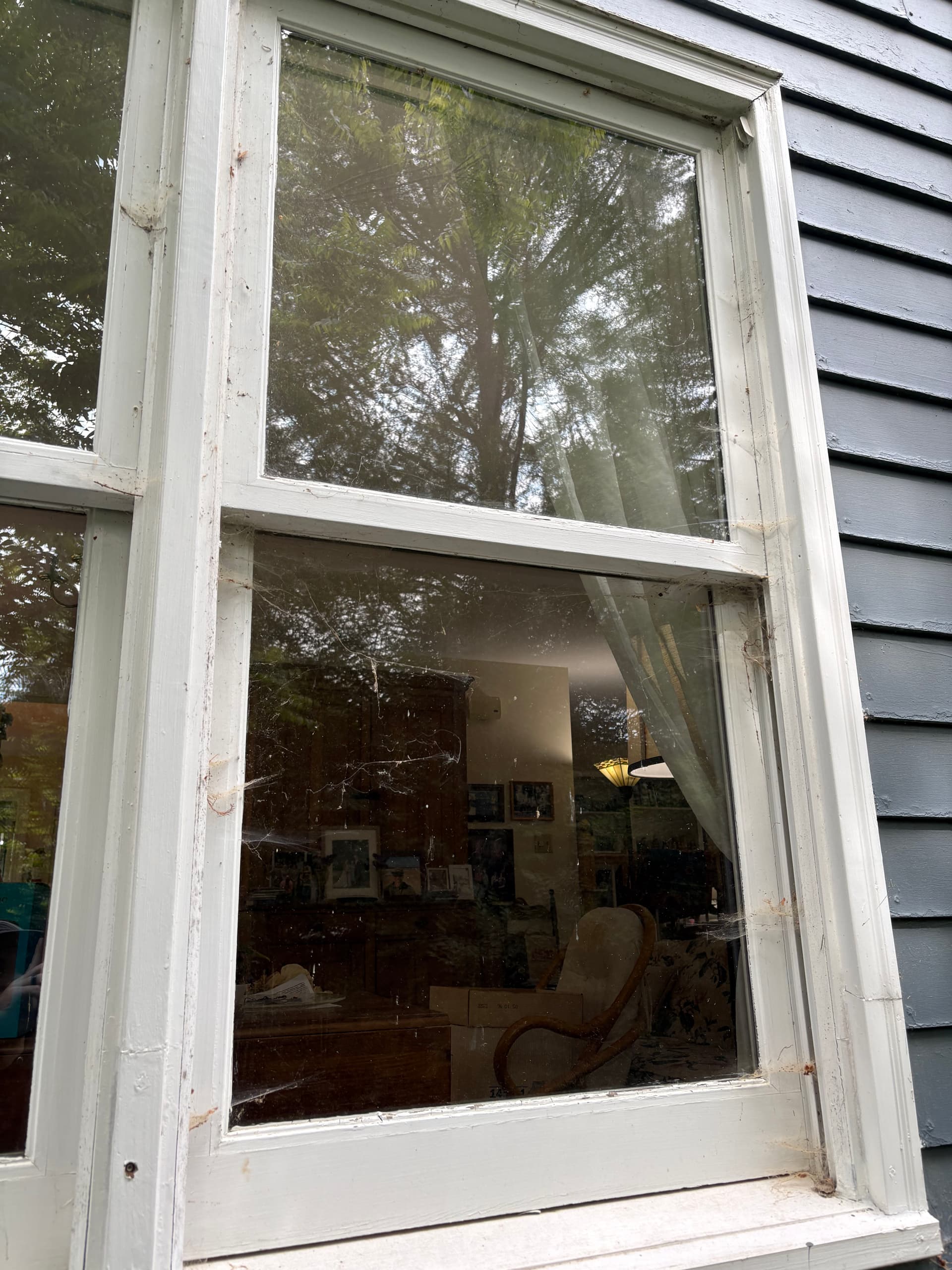 Gallery photos for Full House Window Cleaning Inside and Out in Ashland VA: Image #5